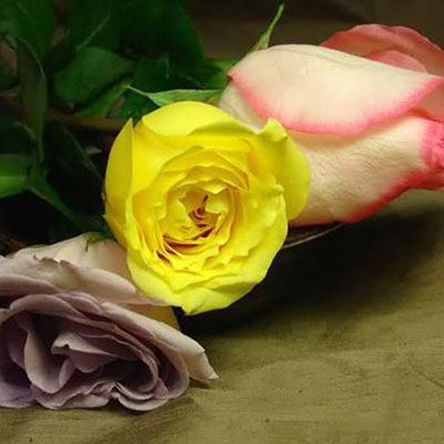 使用妖娆的玫瑰花制作成漂亮的干花产品
