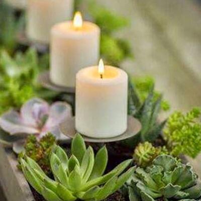 易控绿色植物DIY与蜡烛创意结合