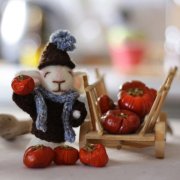 爱戴围巾的可爱羊毛毡手工DIY小白鼠